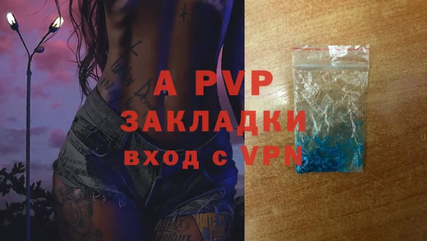 СК Киренск