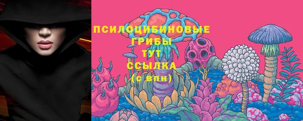 наркотики Карпинск