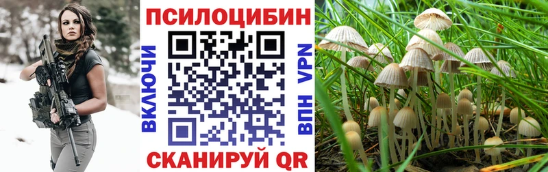 Галлюциногенные грибы мухоморы  Купить закладки  Ельня 